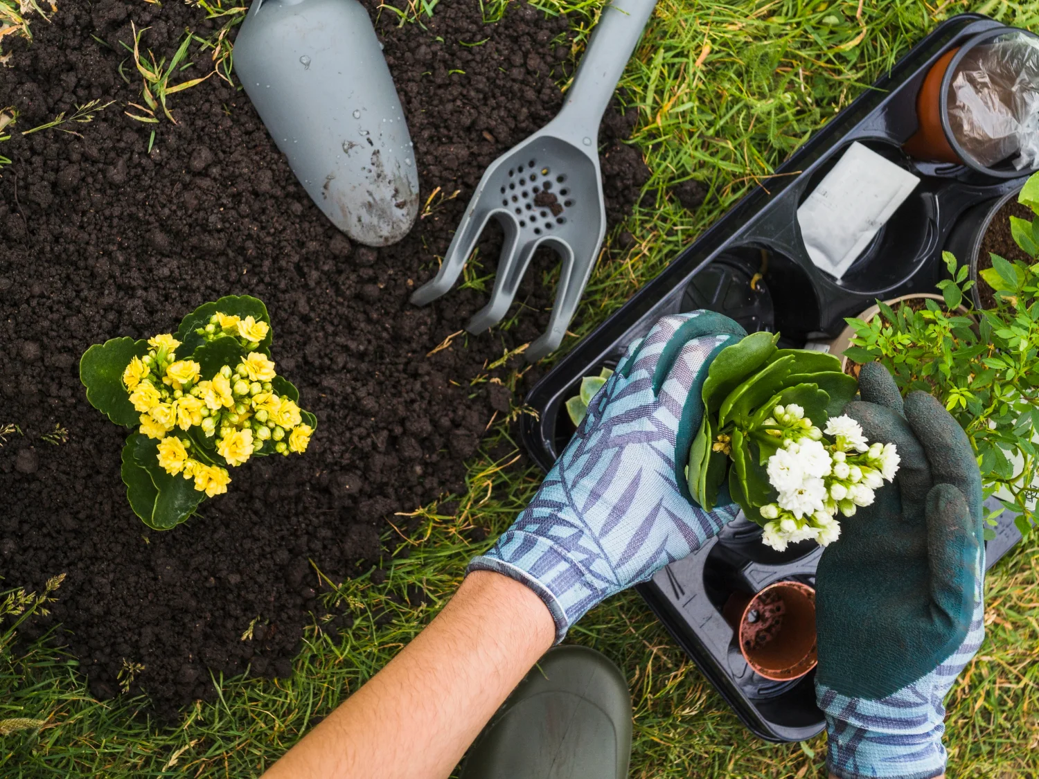 Actividades auxiliares en viveros, jardines y centros de jardinería